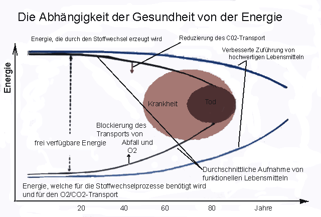 Lebenserwartung und Energiemangel