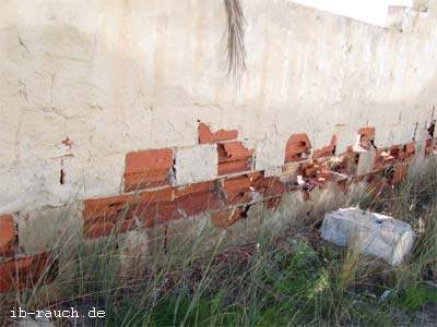 Feuchte Mauer auf Djerba