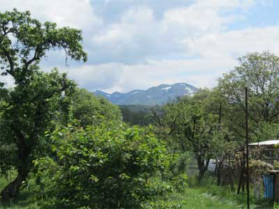 Garten mit Blick zu den Bergen